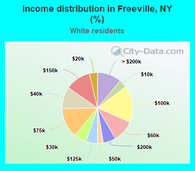 Income distribution in Freeville, NY (%)