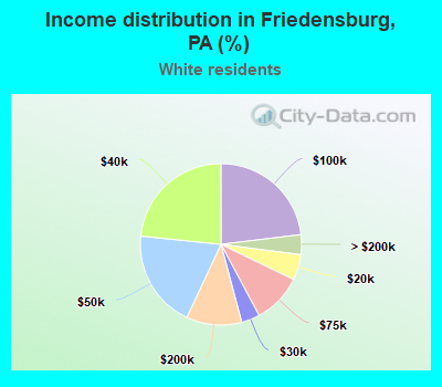 Income distribution in Friedensburg, PA (%)