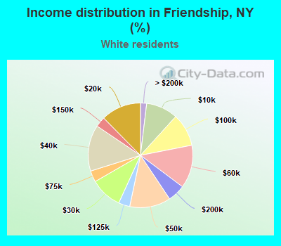 Income distribution in Friendship, NY (%)