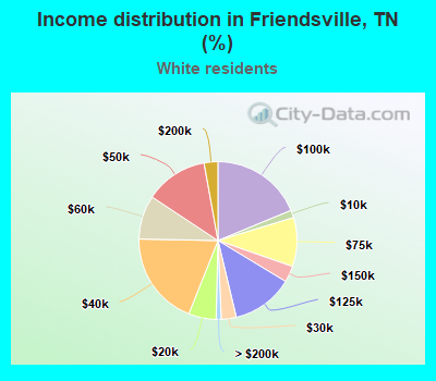 Income distribution in Friendsville, TN (%)