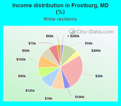Income distribution in Frostburg, MD (%)
