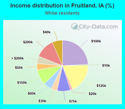 Income distribution in Fruitland, IA (%)