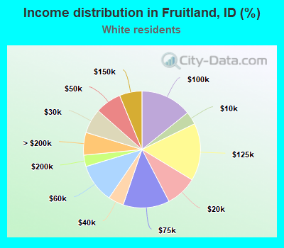 Income distribution in Fruitland, ID (%)