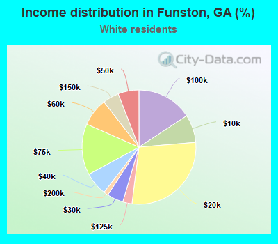Income distribution in Funston, GA (%)