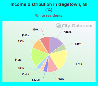 Income distribution in Gagetown, MI (%)