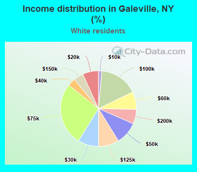 Income distribution in Galeville, NY (%)