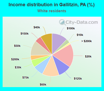 Income distribution in Gallitzin, PA (%)