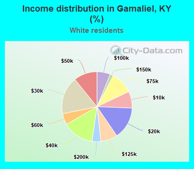 Income distribution in Gamaliel, KY (%)