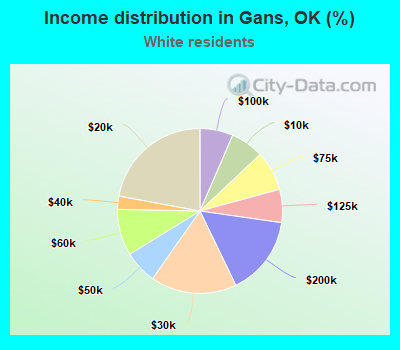 Income distribution in Gans, OK (%)