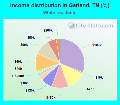 Income distribution in Garland, TN (%)