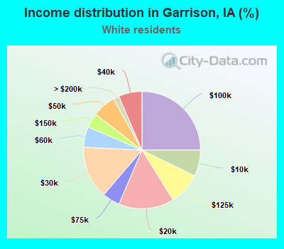 Income distribution in Garrison, IA (%)