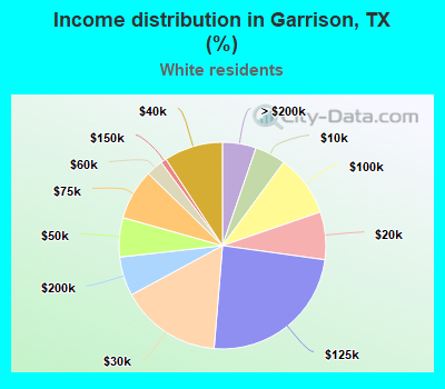 Income distribution in Garrison, TX (%)