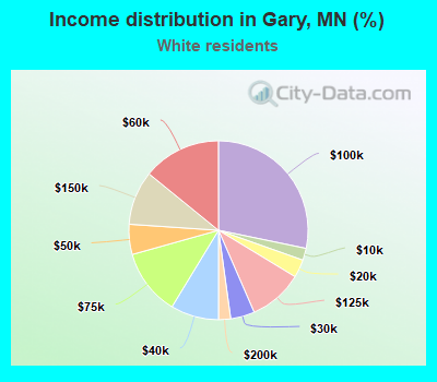 Income distribution in Gary, MN (%)