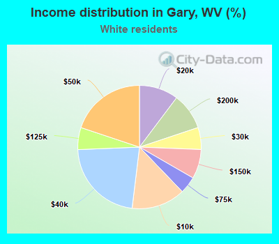 Income distribution in Gary, WV (%)