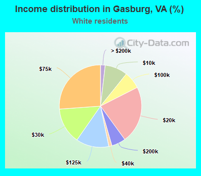 Income distribution in Gasburg, VA (%)