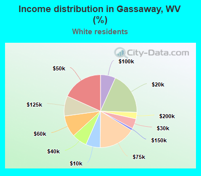 Income distribution in Gassaway, WV (%)