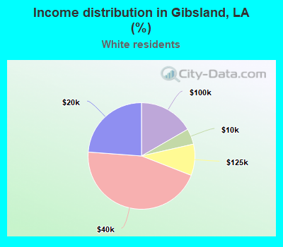 Income distribution in Gibsland, LA (%)