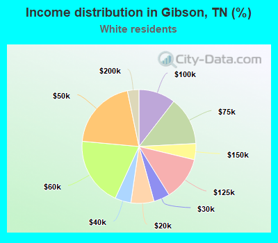 Income distribution in Gibson, TN (%)