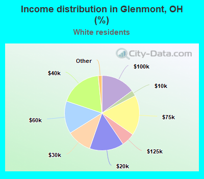 Income distribution in Glenmont, OH (%)