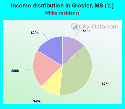 Income distribution in Gloster, MS (%)