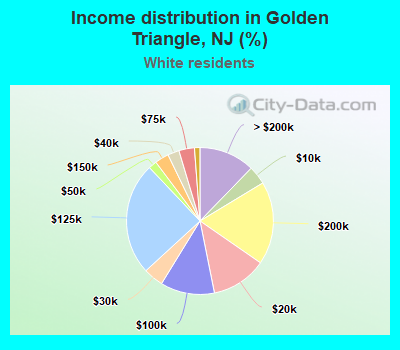 Income distribution in Golden Triangle, NJ (%)