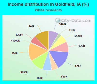 Income distribution in Goldfield, IA (%)
