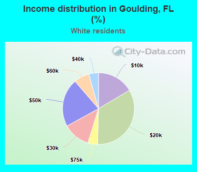 Income distribution in Goulding, FL (%)