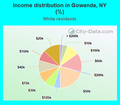 Income distribution in Gowanda, NY (%)