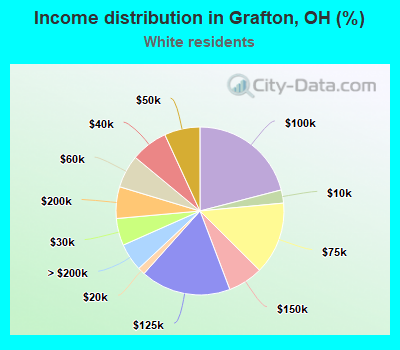 Income distribution in Grafton, OH (%)