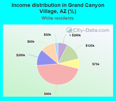 Income distribution in Grand Canyon Village, AZ (%)