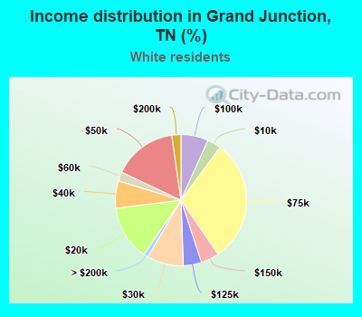 Income distribution in Grand Junction, TN (%)