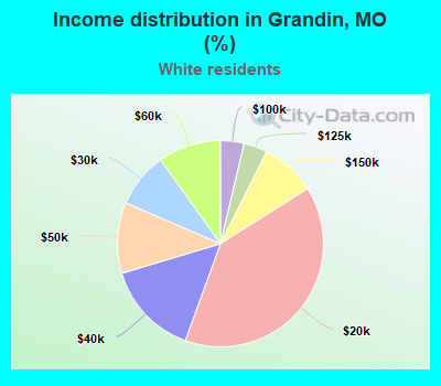 Income distribution in Grandin, MO (%)