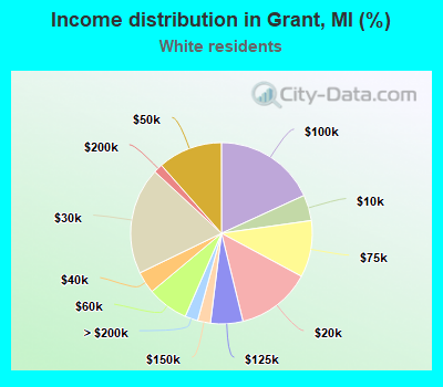 Income distribution in Grant, MI (%)