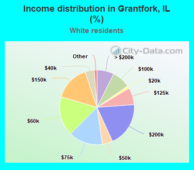 Income distribution in Grantfork, IL (%)