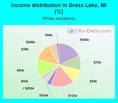 Income distribution in Grass Lake, MI (%)