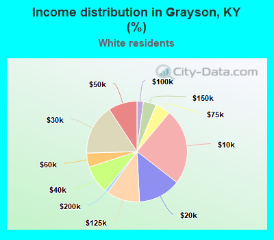 Income distribution in Grayson, KY (%)