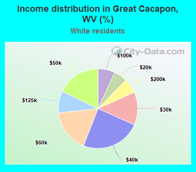 Income distribution in Great Cacapon, WV (%)
