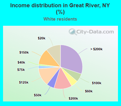 Income distribution in Great River, NY (%)