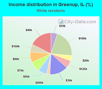 Income distribution in Greenup, IL (%)