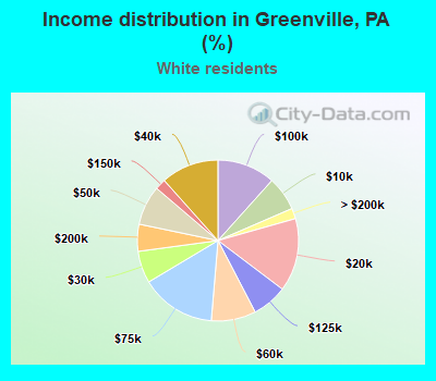 Income distribution in Greenville, PA (%)