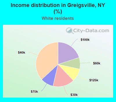 Income distribution in Greigsville, NY (%)