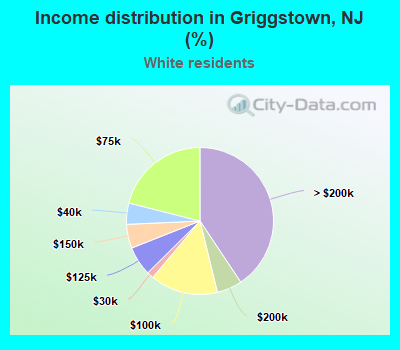 Income distribution in Griggstown, NJ (%)