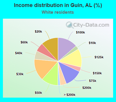 Income distribution in Guin, AL (%)