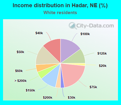 Income distribution in Hadar, NE (%)