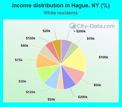 Income distribution in Hague, NY (%)