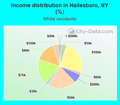 Income distribution in Hailesboro, NY (%)
