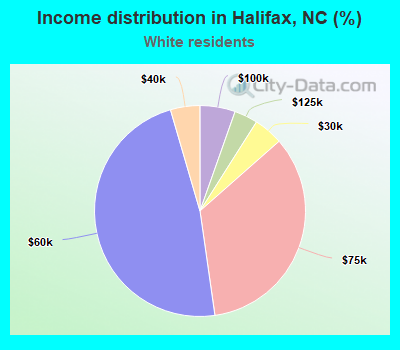 Income distribution in Halifax, NC (%)