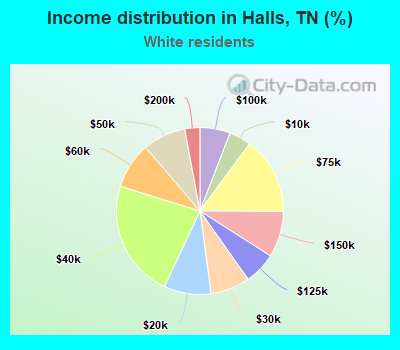 Income distribution in Halls, TN (%)