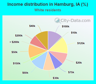 Income distribution in Hamburg, IA (%)