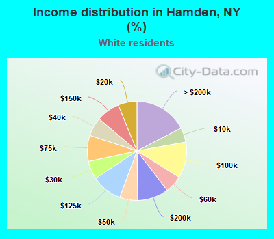 Income distribution in Hamden, NY (%)